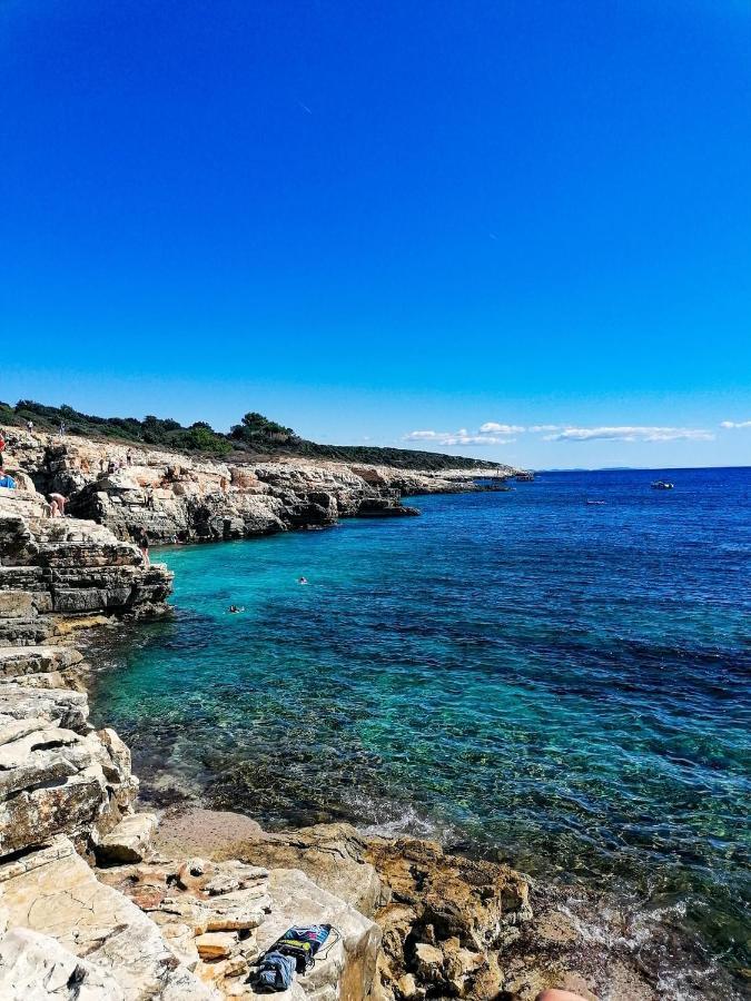 Villa Victoria Istra - Heated Pool Nova Vas  Εξωτερικό φωτογραφία
